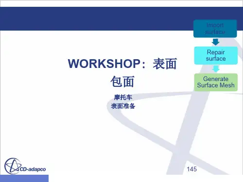 流体力学CFD软件STARCCM培训课件