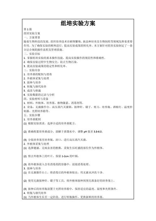 组培实验方案