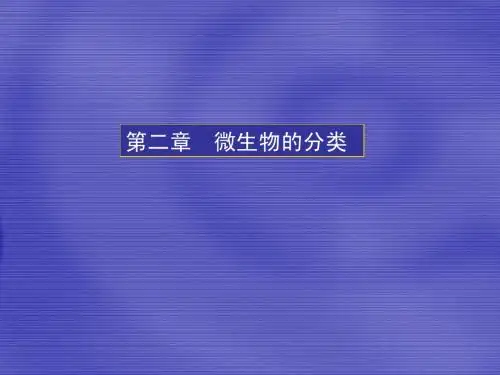 微生物分类