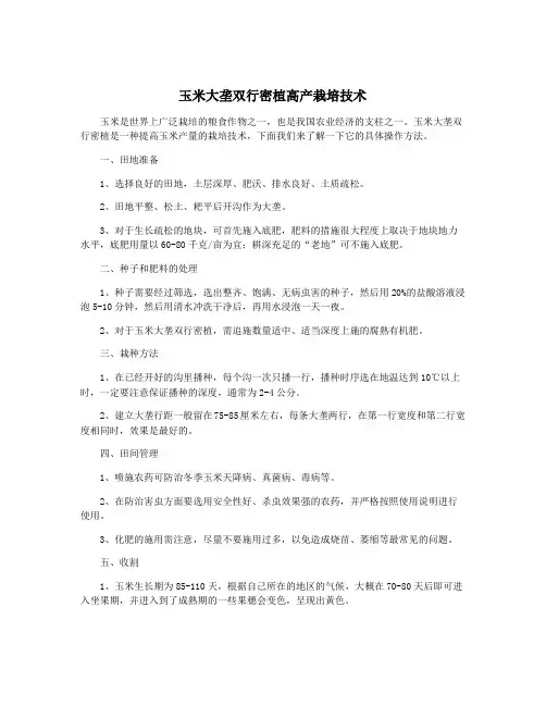 玉米大垄双行密植高产栽培技术