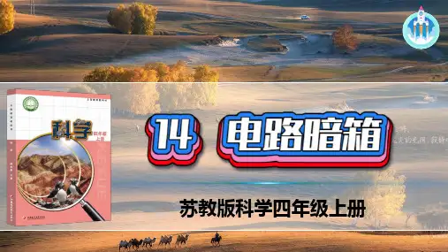 最新苏教版科学四年级上册14电路暗箱PPT课件