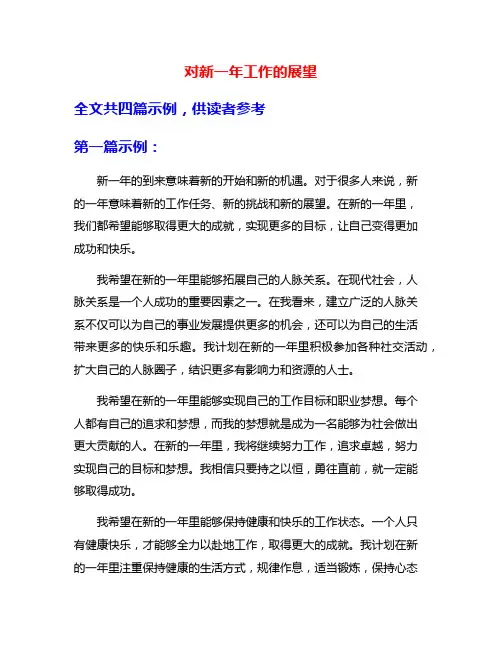 对新一年工作的展望