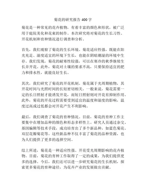 菊花的研究报告400字