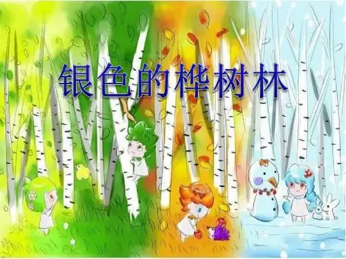 《银色的桦树林》PPT课件 (共13张PPT)