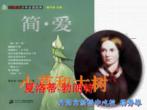 苏教版六年级上册《小草和大树》PPT课件2公开课获奖课件 公开课获奖课件