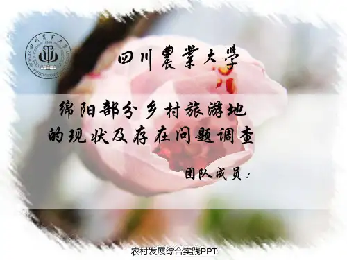 绵阳部分乡村旅游地的现状及存在问题调查(课堂PPT)