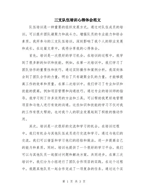 三支队伍培训心得体会范文