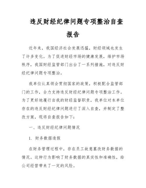 违反财经纪律问题专项整治自查报告