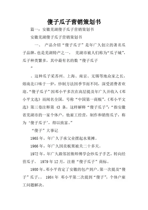 傻子瓜子营销策划书