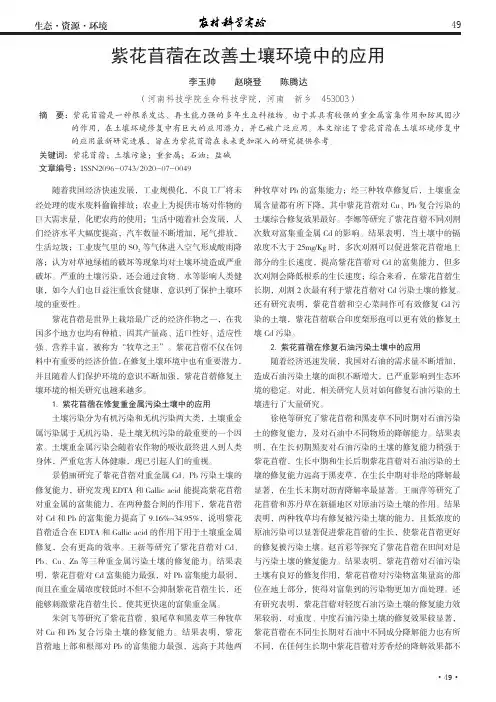 紫花苜蓿在改善土壤环境中的应用