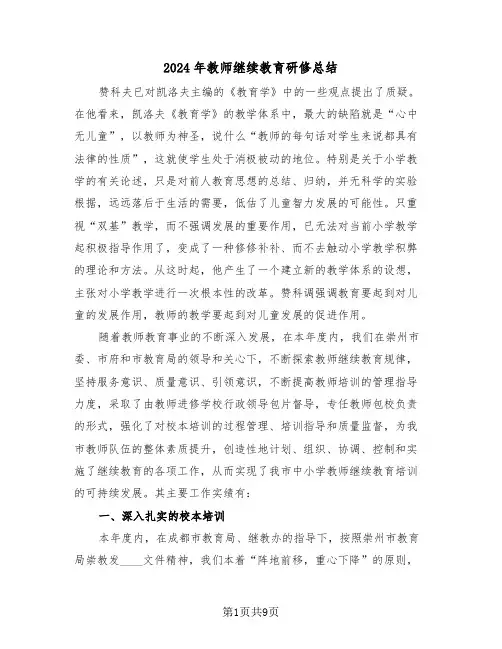 2024年教师继续教育研修总结(3篇)