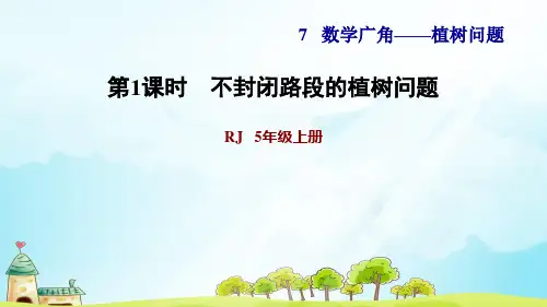 两端都栽和两端都不栽的植树问题 (习题课件)
