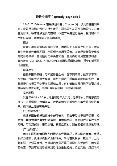 脊椎空洞症（spondylosynosis）