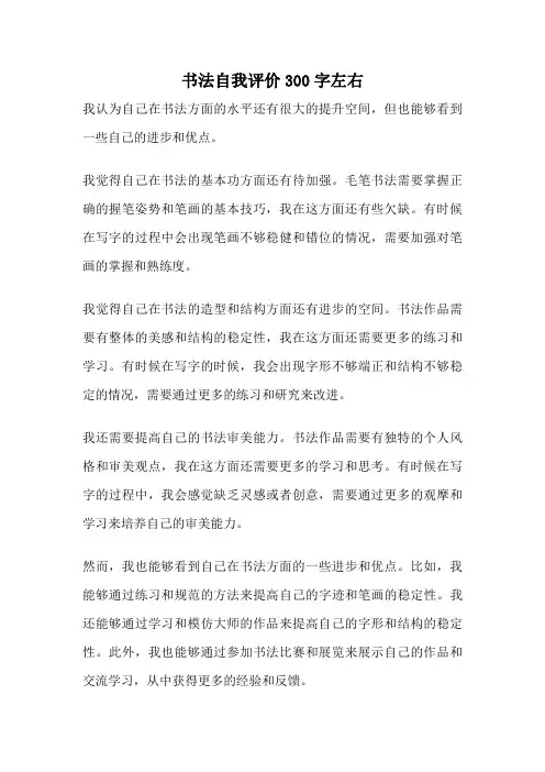 书法自我评价300字左右