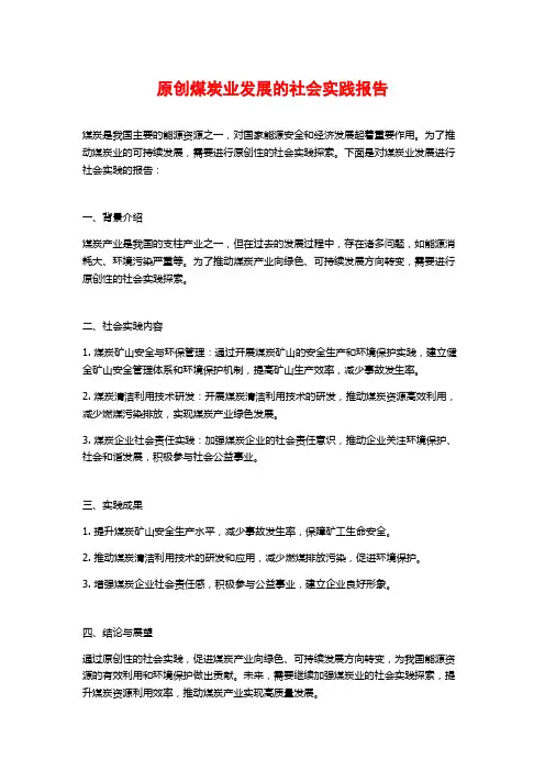 原创煤炭业发展的社会实践报告