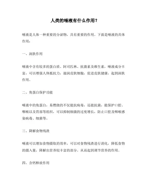 人类的唾液有什么作用？
