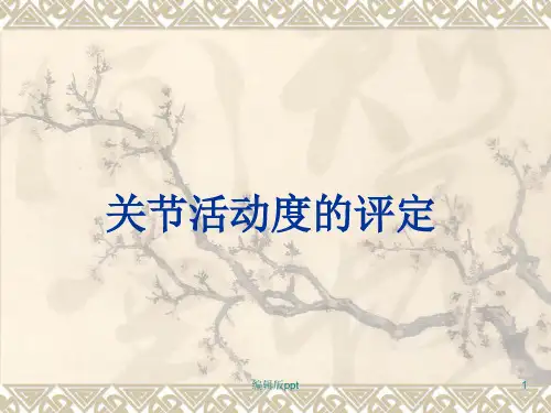 关节活动度的评定医学PPT