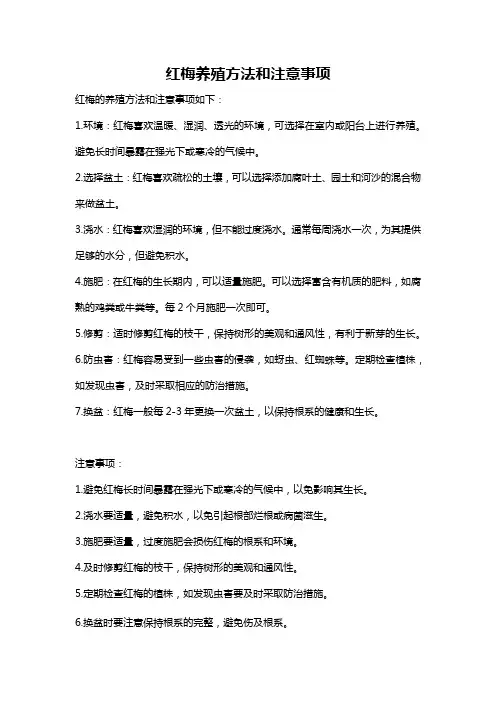 红梅养殖方法和注意事项