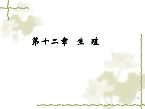 《生殖》PPT课件