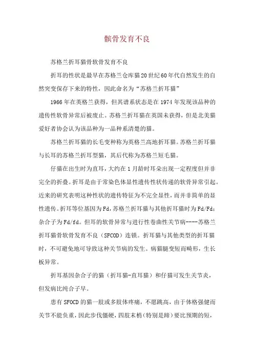 髌骨发育不良