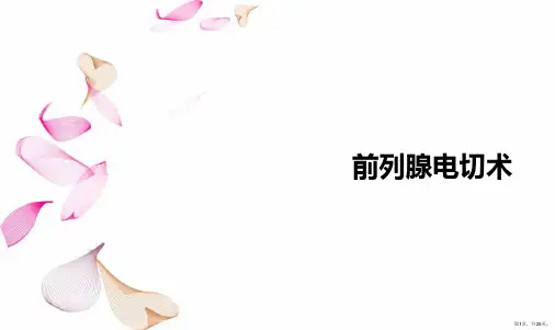 前列腺电切术PPT课件
