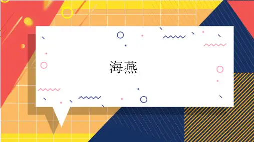 第4课《海燕》课件(共22张ppt) 部编版语文九年级下册