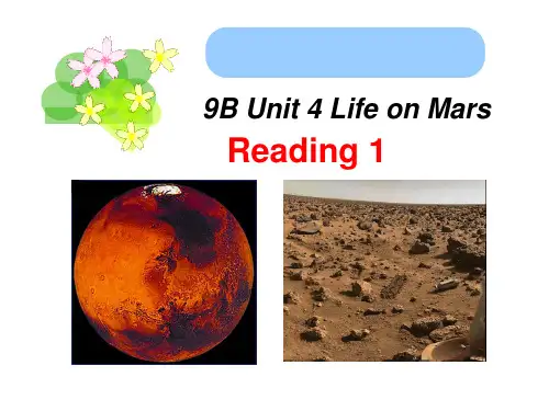 译林版英语九年级下册第四单元  Reading1