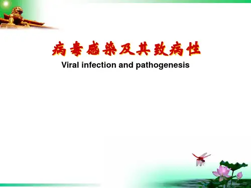 病毒感染及其致病性