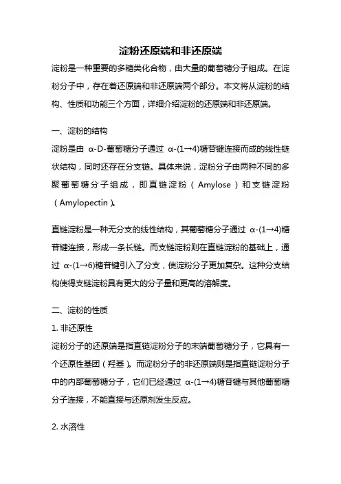 淀粉还原端和非还原端