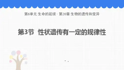 《性状遗传有一定的规律性》PPT课件