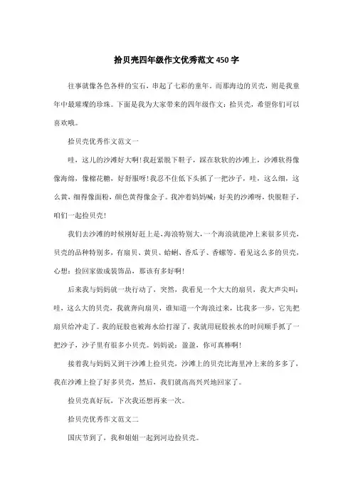 拾贝壳四年级作文优秀范文450字