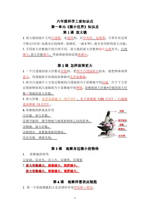 教科版小学科学六上知识点汇总(小升初复习资料)