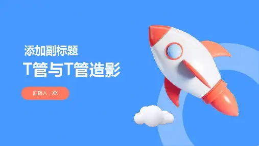 T管与T管造影