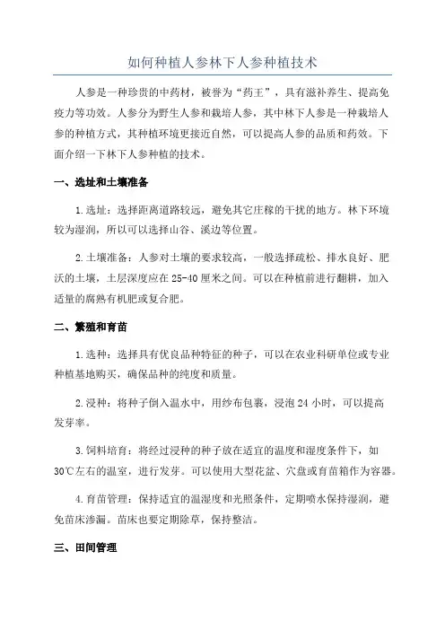 如何种植人参林下人参种植技术