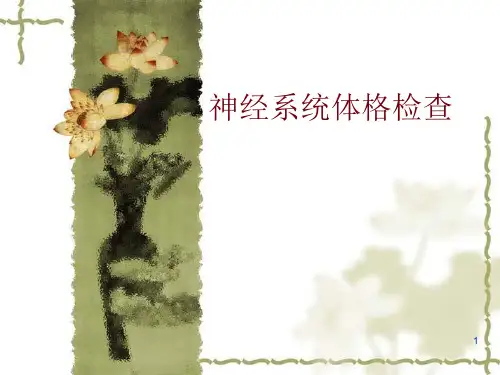 神经系统体格检查 PPT课件