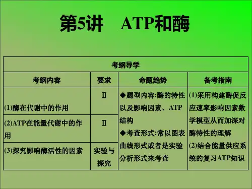 第5讲 酶和ATP--2021年高考一轮复习生物课件(共55张PPT)