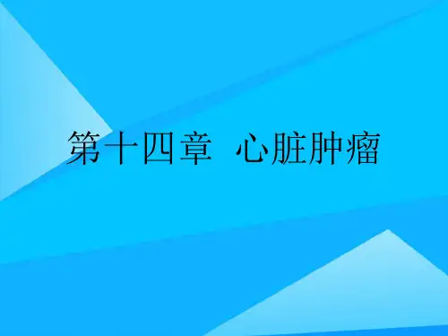 第十四章  心脏肿瘤精选精品PPT