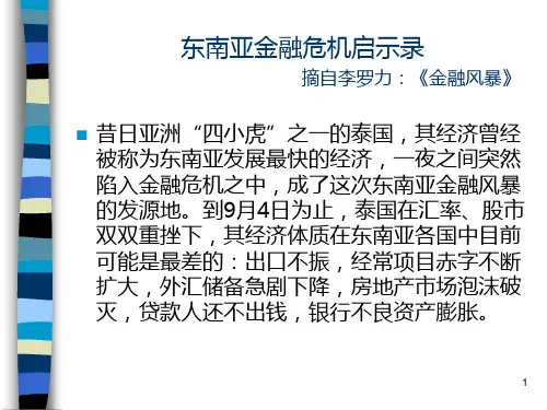 东南亚金融危机启示录PPT课件