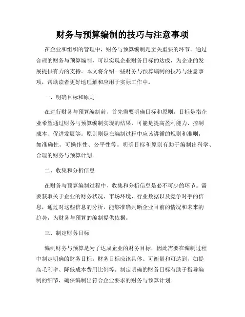 财务与预算编制的技巧与注意事项