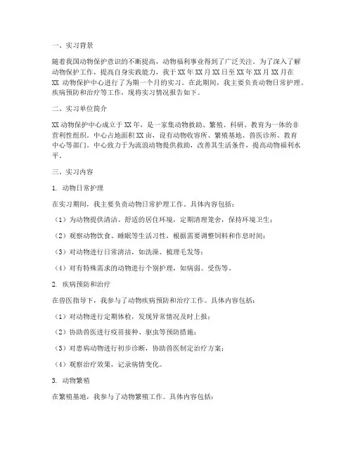 动物实习报告范文