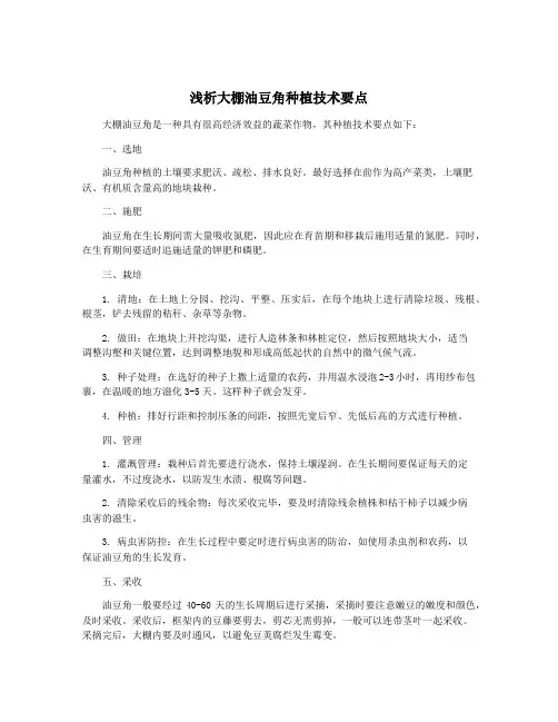 浅析大棚油豆角种植技术要点