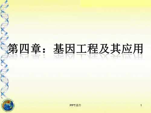 《基因工程》PPT教学  ppt课件