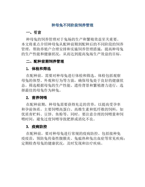 种母兔不同阶段饲养管理