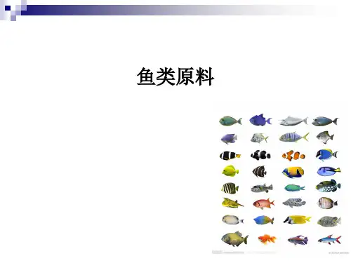 鱼类原料