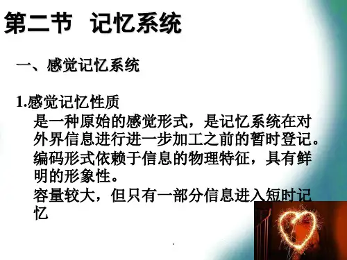记忆系统PPT演示课件