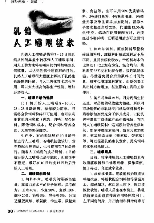 乳鸽人工哺喂技术