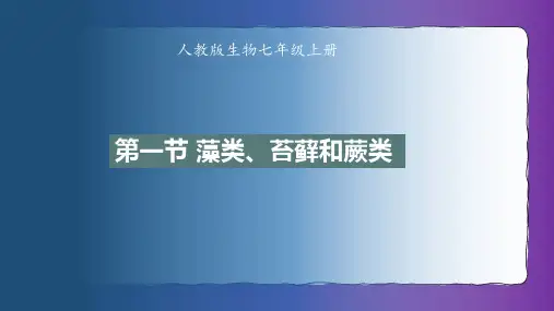 藻类、苔藓和蕨类ppt课件