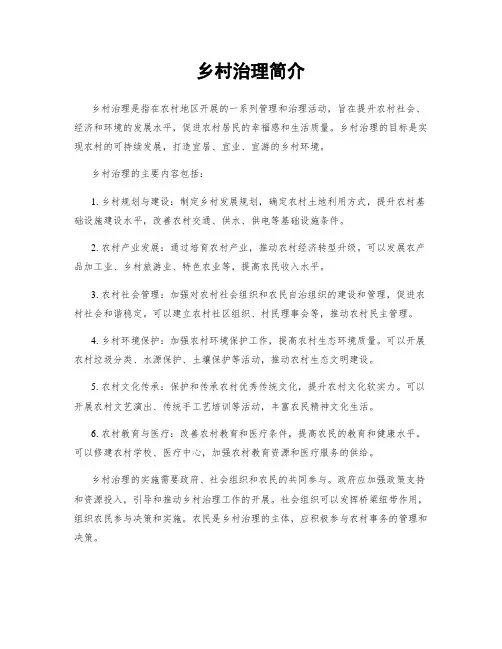 乡村治理简介