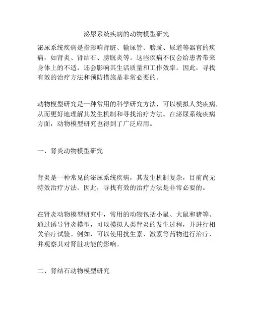 泌尿系统疾病的动物模型研究