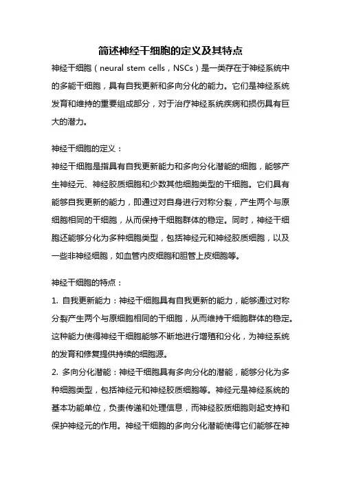 简述神经干细胞的定义及其特点